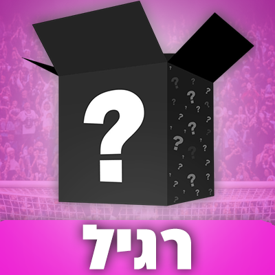 מיסטרי בוקס רגיל